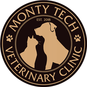 vet science 